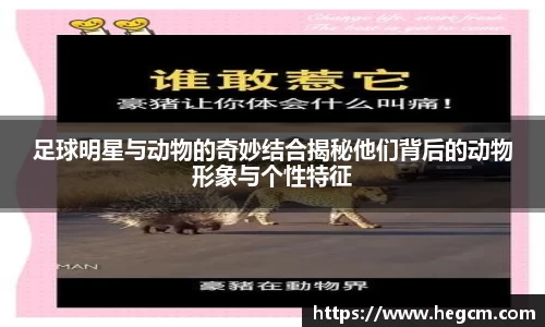 8868体育官方网站